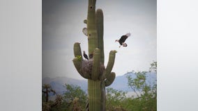 Arizona Photo of the Day - May 2023
