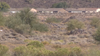 Witness: Clues were found near human remains